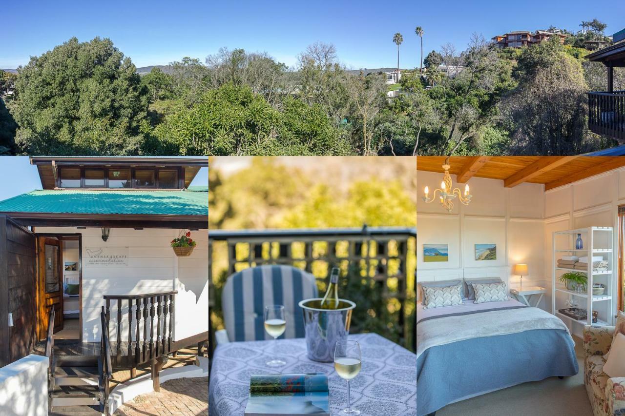 Knysna Escape Accommodation Extérieur photo